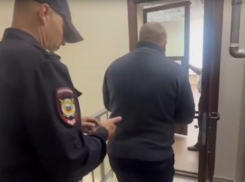 Диверсанта-поджигателя электро-трансформаторов из Поворинского района на два месяца отправили в СИЗО