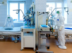 За сутки в Воронежской области коронавирус обнаружили у 36 человек