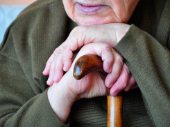 Депутаты Воронежской облдумы назначили пенсионерам минимум для выживания