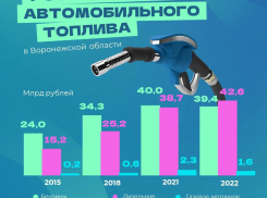 Все виды моторного топлива подорожали в Воронежской области