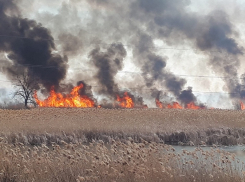 Начало сезона ландшафтных пожаров в Новохоперском районе сфотографировали местные жители