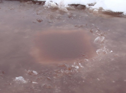 В Новохопёрском районе в водоёмах покраснела вода