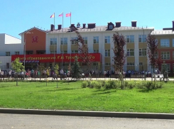 Вице-спикера Воронежской гордумы взяли за взятку, полученную за приемку грибановской школы