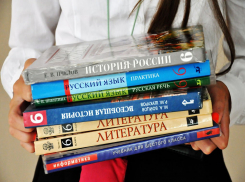На нехватку учебников в школе правительству области пожаловался житель Борисоглебска