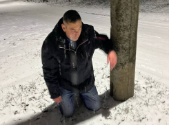 Бастрыкин заинтересовался нападением на 15-летнюю девочку в Борисоглебске