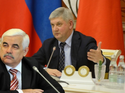 Губернатор Гусев раскаялся в «золотом парашюте» экс-зама Агибалова