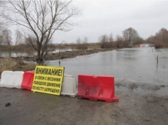 Шесть мостов ушли под воду в Воронежской области