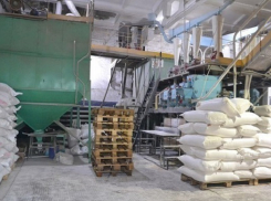 «Борисоглебский хлебопродукт» был продан на торгах за 53,4 млн. рублей