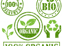 «Эко», «Натур» и «Органик» в Борисоглебских магазинах