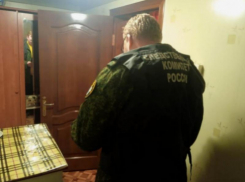 Борисоглебца, забившего до смерти пожилую любовницу, отправят в психушку