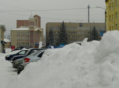Высота снежного покрова в Борисоглебске превысила климатическую норму более чем в 4 раза