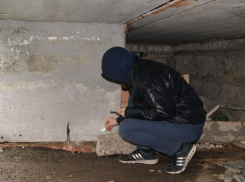 12 жителей Воронежской области вошли в преступную группу «наркозакладчиков» 