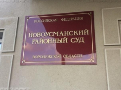 У антиникелевых активистов Житинева и Безменского появился третий адвокат