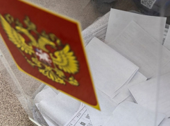 Досрочное голосование на выборах в Госдуму могут организовать в Воронежской области