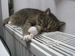 «В среду в дома борисоглебцев придет тепло» – обещают в администрации 