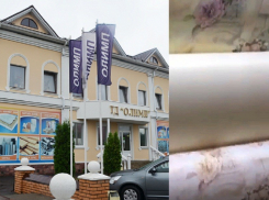 Два счастливчика выиграли по 1000 рублей на покупку обоев в магазинах  Торгового дома «Олимп»