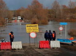 Ещё два низководных моста затопило на востоке Воронежской области