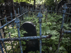 Волонтеры искали пропавшую в Воронежской области 80-летнюю пенсионерку и нашли ее на кладбище