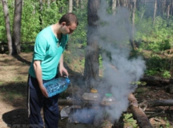Воронежское МЧС устроит охоту на любителей жарить в лесу
