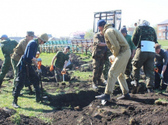 Останки трех летчиков обнаружили в Воронежской области