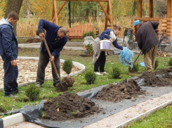 В центре села Мазурка Поворинского района благоустроят парк