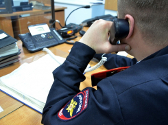 Житель Поворинского района пойдёт под суд за обман полицейских