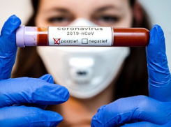 Сотрудников Борисоглебской станции по борьбе с болезнями животных изолировали из-за коронавируса в полном составе