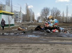 Жители улицы Аэродромная в Борисоглебске пожаловались на неубираемый мусор