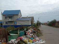 Житель Борисоглебска пожаловался  на разваливающиеся мусорные баки