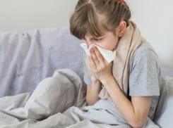 В Воронежской области ожидается новая волна гриппа