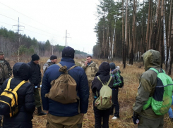 В списке пропавших в Воронежской области числится 358 человек