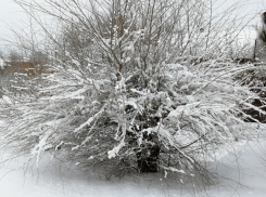 В последние рабочие дни недели Воронежскую область накроют снегопады