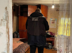 Жена зарезала мужа в День народного единства в селе под Борисоглебском 