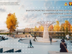  «Мертвые» проекты Борисоглебска: набережная, по которой нам не гулять