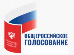 Большинство борисоглебцев не собираются принимать участия в голосовании по поправкам в Конституцию