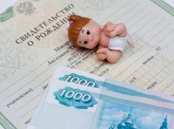 Особенности назначения ежемесячной выплаты в 2020 году за рождение первого или второго ребёнка 