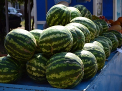 Воронежский Роспотребнадзор предостерег от покупки ранних арбузов