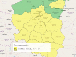 Желтый уровень опасности объявили в Воронежской области из-за сильного ветра