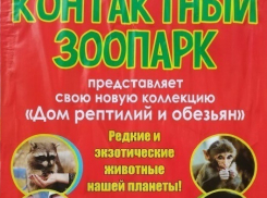 Борисоглебск. Тайная жизнь контактных зоопарков