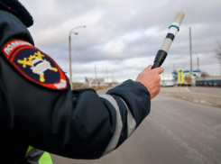 В День народного единства автоинспекторы проведут рейд в Борисоглебске