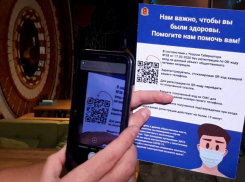 Пропуск по QR-кодам в различные учреждения вводят в Воронежской области