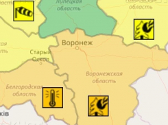 Оранжевый уровень опасности объявили в Воронежской области из-за жары и грозы