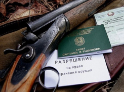 В Воронежской области, на время проведения Чемпионата мира по футболу, ограничат охоту