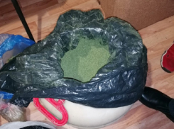 На 4,5 года отправится в колонию поворинец за 11 килограммов конопли