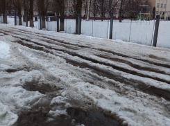 Зима для администрации Борисоглебского округа закончилась 24 января?!