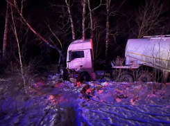 Водитель легковушки погиб в столкновении с грузовиком в Грибановском районе