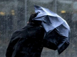 Предштормовой ветер, холода и осадки ожидаются в Воронежской области в ближайшие три дня