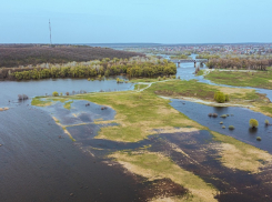 Уровень воды в Вороне и Хопре продолжает повышаться