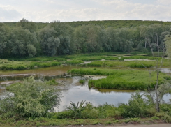 Ворона и Хопёр: от судоходных путей до куриных бродов