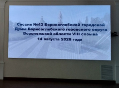Елена Агаева досрочно сложила полномочия Главы Борисоглебского округа и председателя Думы